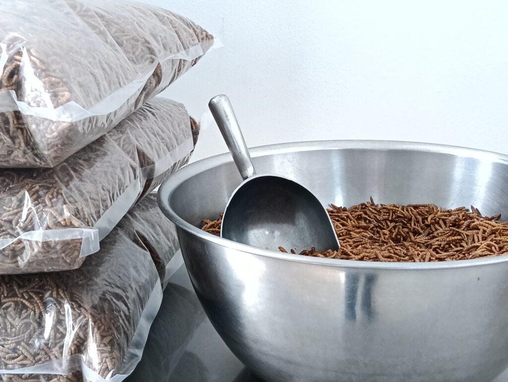 Producción industrial de proteína de insectos