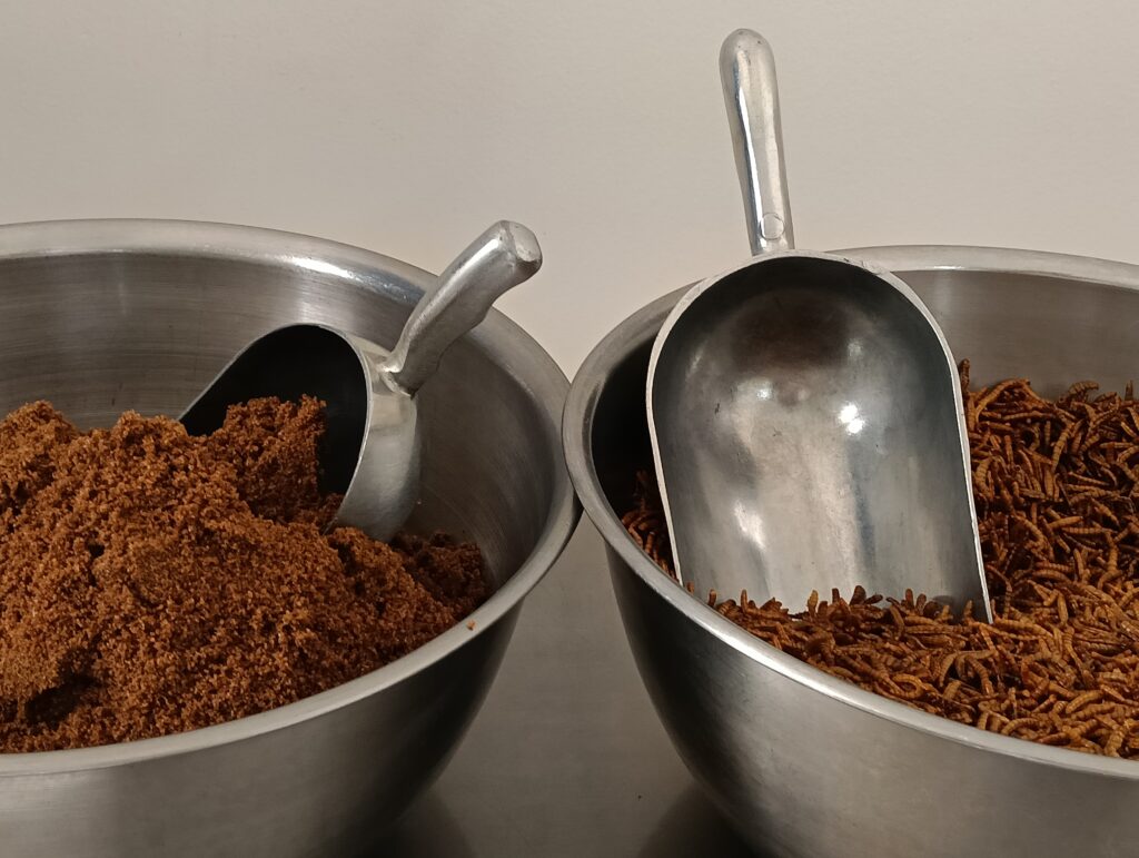 Tenebrio molitor producción con baja huella ambiental